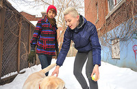 Beddable Boys gay movies