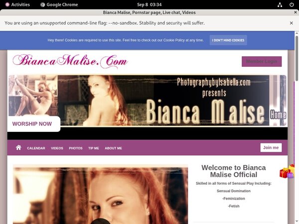 Biancamalise.modelcentro.com Hack Biancamalise.modelcentro.com Hack