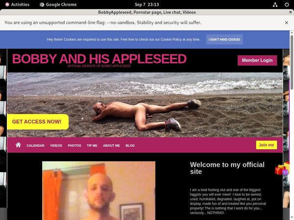 Bobbyappleseed Valid Password