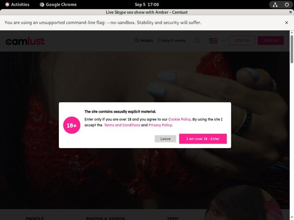 Camlust.com Accounts