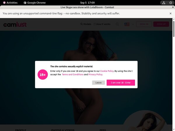 Camlust.com Password Generator