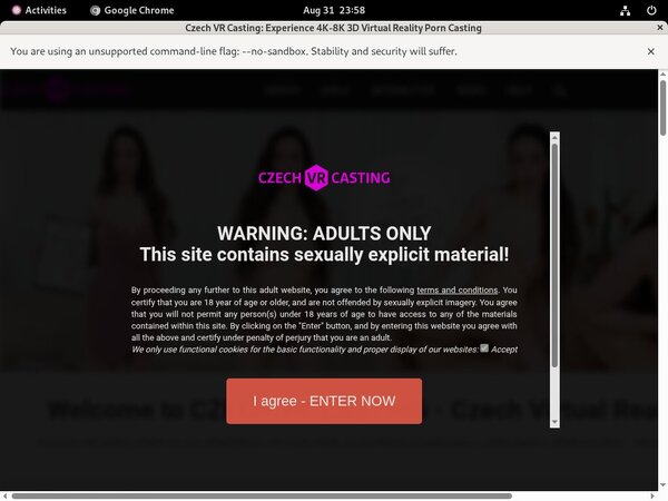 Casting VR Czech Free Passwords