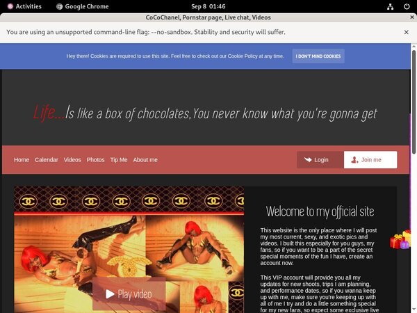 CoCoChanel Accounts Passwords