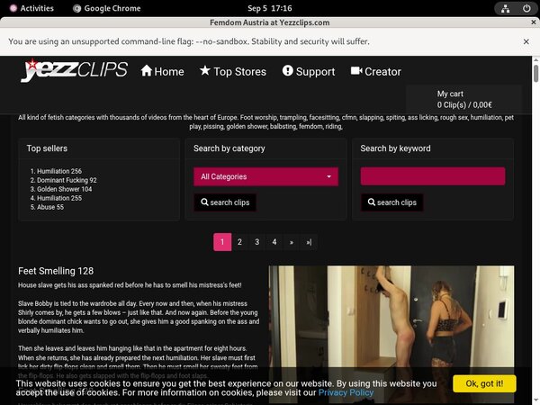 Femdom Austria Fetish