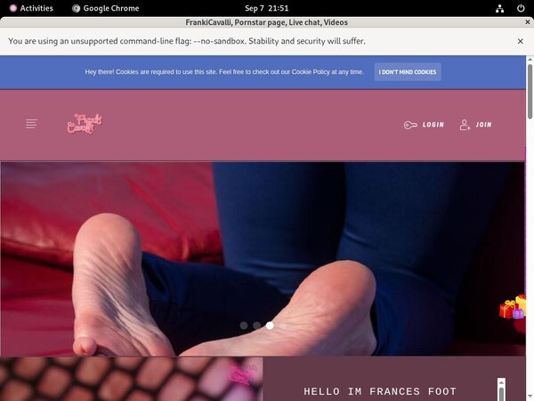 Free Frances.modelcentro.com Passwords 2018