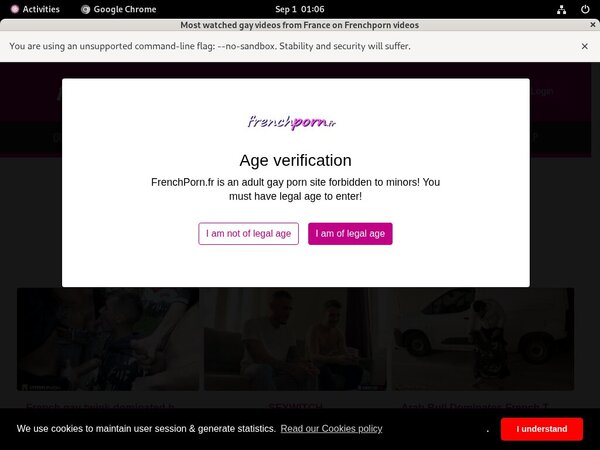 French Porn Gay Login Codes
