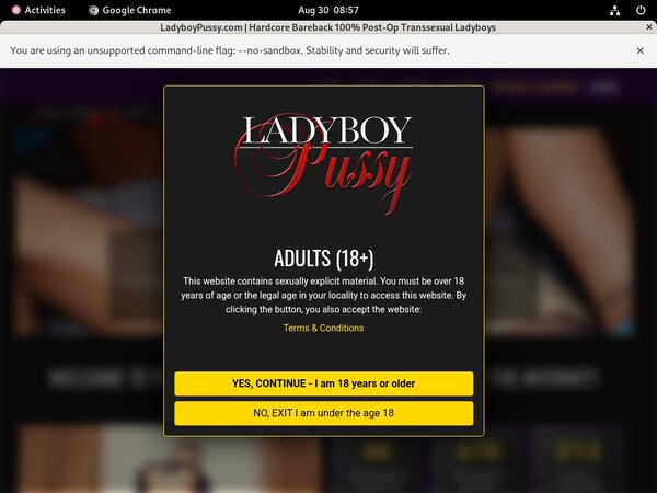 Get Ladyboypussy Password