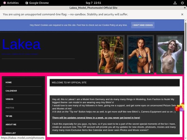 How To Get Lakea_Model Free