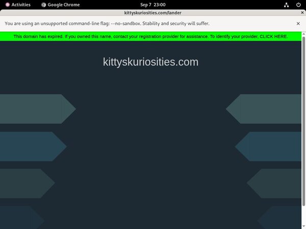 Kittyskuriosities.com Epoch