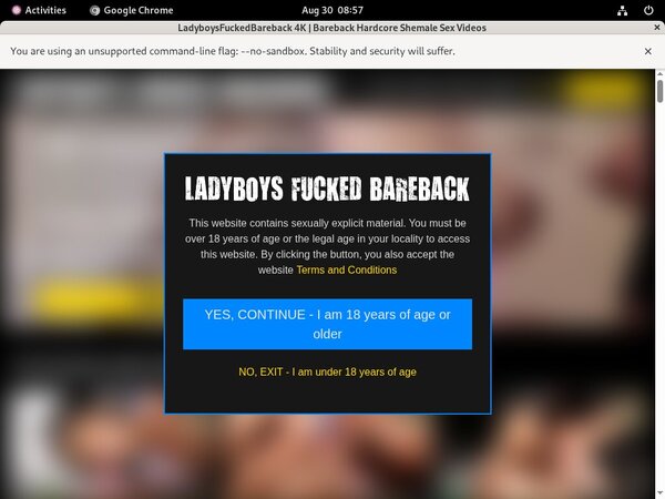 Ladyboysfuckedbareback Galleries