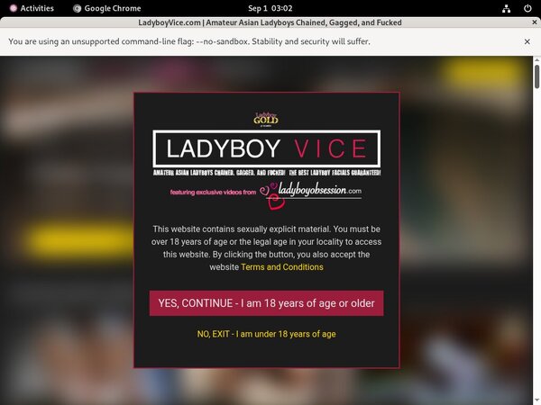 Ladyboyvice Password And Login
