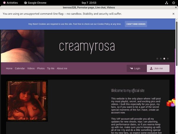 Leerosa328 Accounts Working