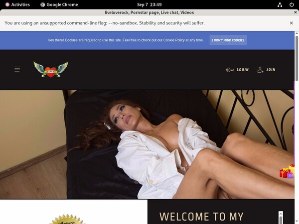 Liveloverock.modelcentro.net Account Information