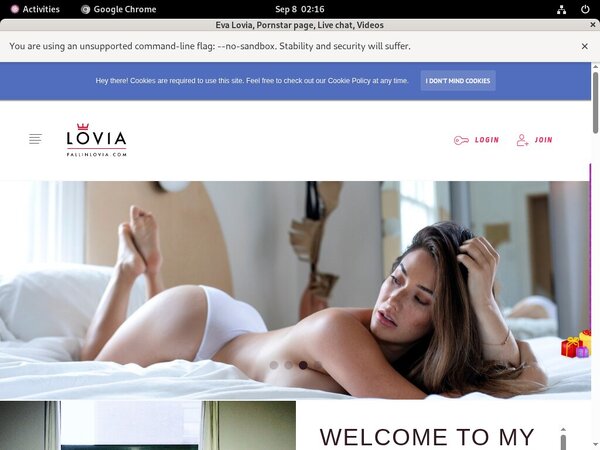 Loviaeva Premium Loviaeva Premium