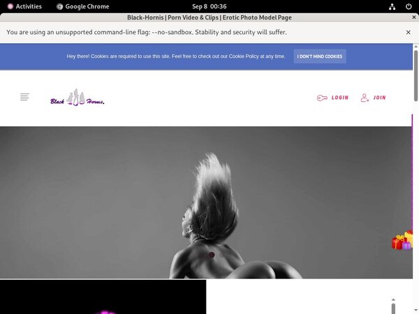 [Image: Passwords-To-B-L-A-C-K-H-O-R-N-I-S.jpg]