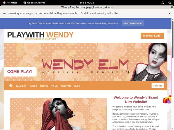 Playwithwendy Hack Login