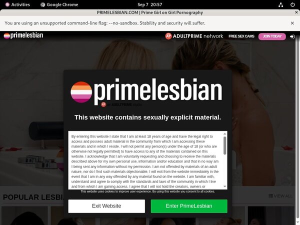 Primelesbian.com Discount Site