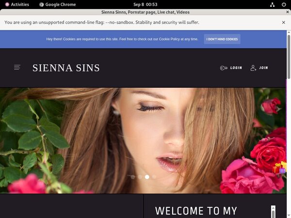 Sienna Sinns Passwords Blog