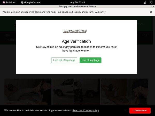 Sketboy.com Trial Membership Free