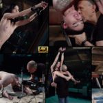 Subspaceland.com Form