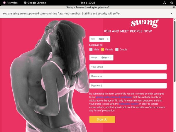 [Image: Swing-Valid-Password.jpg]