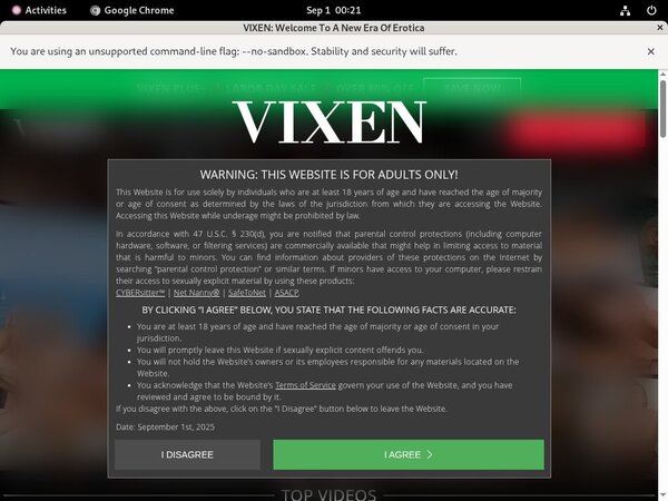 Vixen Review