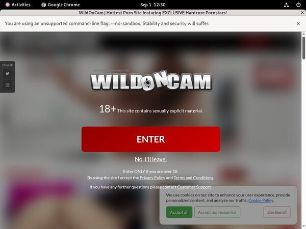 Wild On Cam Rocketpay