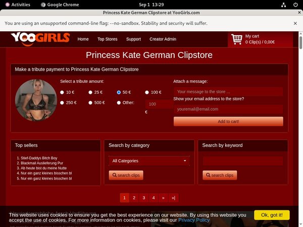Working Princess Kate German Login