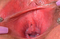 Gapemypussy Alternative Payment s4
