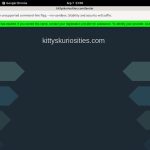 Kittyskuriosities.com Epoch